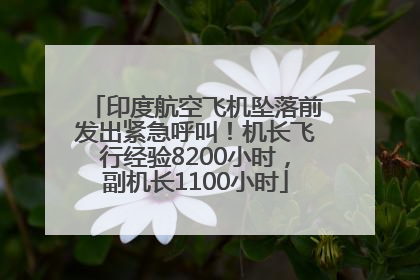 印度航空飞机坠落前发出紧急呼叫！机长飞行经验8200小时，副机长1100小时