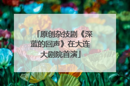 原创杂技剧《深蓝的回声》在大连大剧院首演