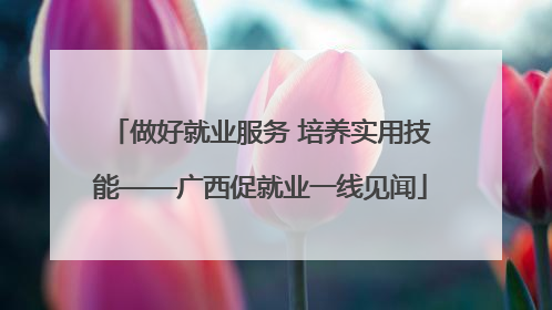 做好就业服务 培养实用技能——广西促就业一线见闻
