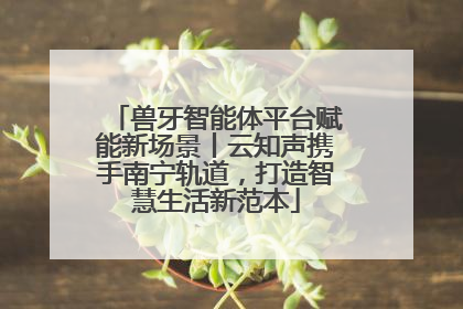 兽牙智能体平台赋能新场景丨云知声携手南宁轨道，打造智慧生活新范本