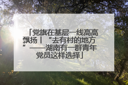 党旗在基层一线高高飘扬丨“去有村的地方”——湖南有一群青年党员这样选择
