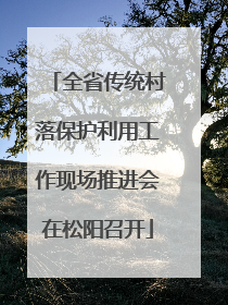 全省传统村落保护利用工作现场推进会在松阳召开