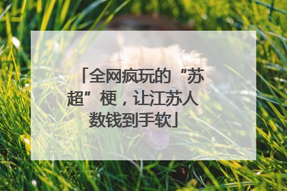 全网疯玩的“苏超”梗，让江苏人数钱到手软