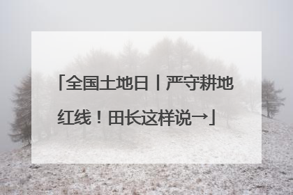 全国土地日丨严守耕地红线！田长这样说→