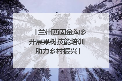 兰州西固金沟乡开展果树技能培训 助力乡村振兴