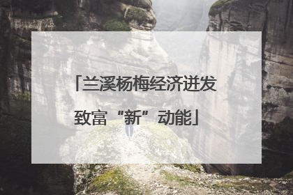 兰溪杨梅经济迸发致富“新”动能