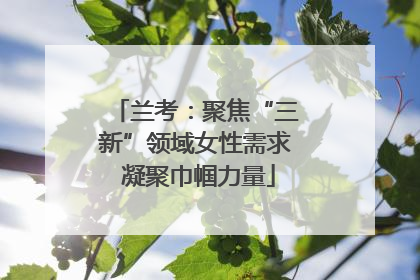 兰考：聚焦“三新”领域女性需求 凝聚巾帼力量