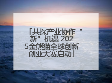 共探产业协作“新”机遇 2025金熊猫全球创新创业大赛启动