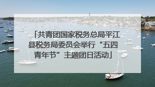 共青团国家税务总局平江县税务局委员会举行“五四青年节”主题团日活动