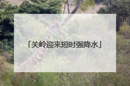 关岭迎来短时强降水