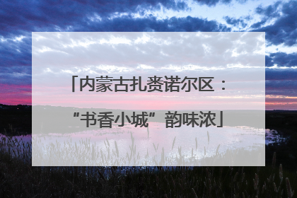 内蒙古扎赉诺尔区：“书香小城”韵味浓