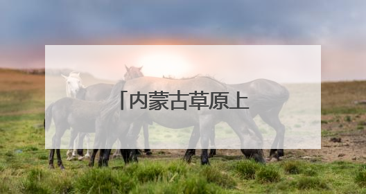 内蒙古草原上的“爱马士”
