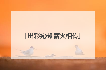 出彩宛梆 薪火相传