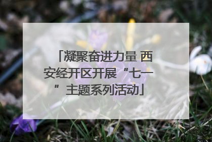 凝聚奋进力量 西安经开区开展“七一”主题系列活动