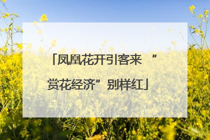 凤凰花开引客来 “赏花经济”别样红