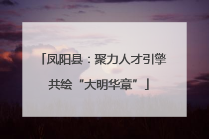 凤阳县：聚力人才引擎 共绘“大明华章”
