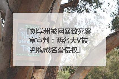 刘学州被网暴致死案一审宣判：两名大V被判构成名誉侵权