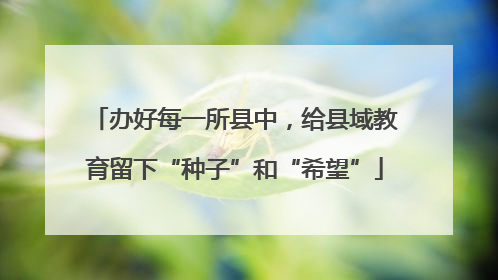 办好每一所县中，给县域教育留下“种子”和“希望”