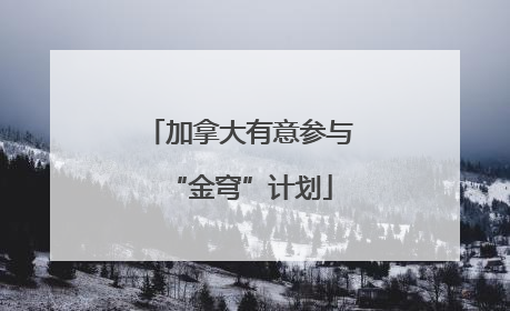 加拿大有意参与“金穹”计划
