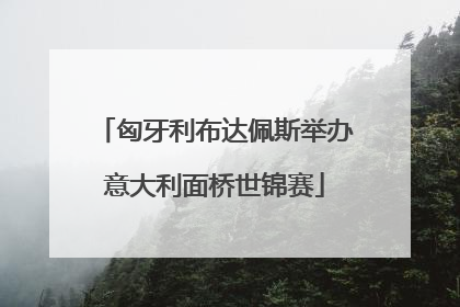 匈牙利布达佩斯举办意大利面桥世锦赛