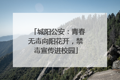 城阳公安：青春无毒向阳花开，禁毒宣传进校园
