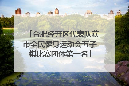 合肥经开区代表队获市全民健身运动会五子棋比赛团体第一名