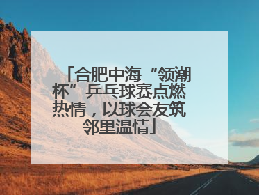 合肥中海“领潮杯”乒乓球赛点燃热情，以球会友筑邻里温情