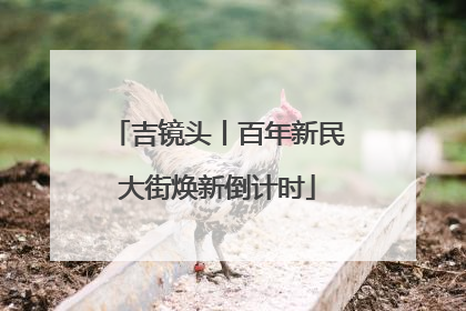 吉镜头丨百年新民大街焕新倒计时