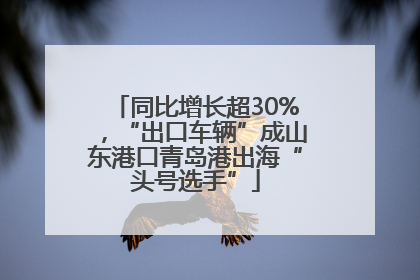 同比增长超30%，“出口车辆”成山东港口青岛港出海“头号选手”