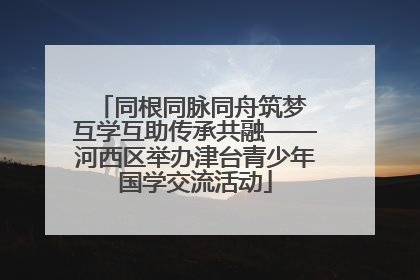 同根同脉同舟筑梦 互学互助传承共融——河西区举办津台青少年国学交流活动