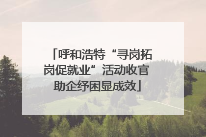呼和浩特“寻岗拓岗促就业”活动收官 助企纾困显成效