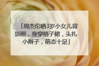 周杰伦晒3岁小女儿背影照，身穿格子裙，头扎小辫子，萌态十足