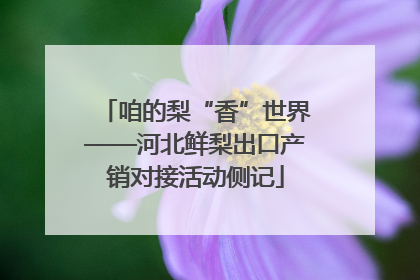 咱的梨“香”世界——河北鲜梨出口产销对接活动侧记