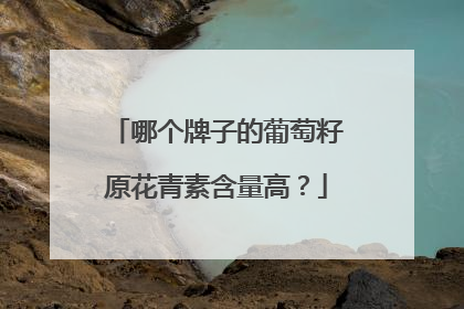 哪个牌子的葡萄籽原花青素含量高？