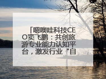 嗯噢哇科技CEO窦飞鹏：共创旅游专业能力认知平台，激发行业“自生长”力量