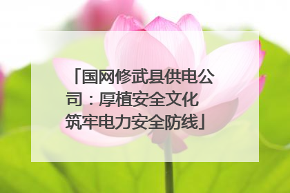 国网修武县供电公司：厚植安全文化 筑牢电力安全防线