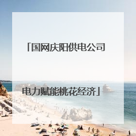 国网庆阳供电公司电力赋能桃花经济