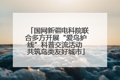 国网新疆电科院联合多方开展“爱鸟护线”科普交流活动 共筑鸟类友好城市