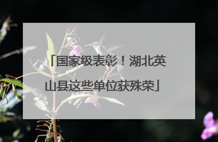 国家级表彰！湖北英山县这些单位获殊荣