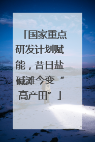 国家重点研发计划赋能，昔日盐碱滩今变“高产田”