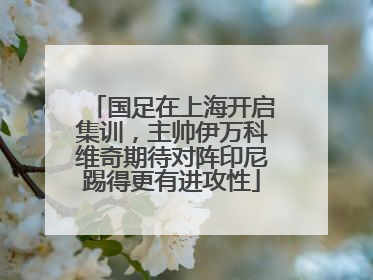 国足在上海开启集训，主帅伊万科维奇期待对阵印尼踢得更有进攻性
