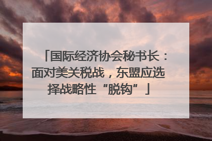 国际经济协会秘书长：面对美关税战，东盟应选择战略性“脱钩”