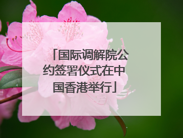 国际调解院公约签署仪式在中国香港举行