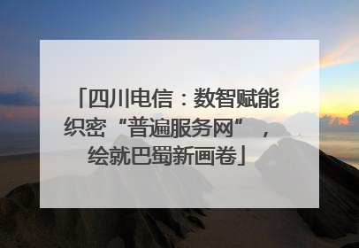 四川电信：数智赋能织密“普遍服务网”，绘就巴蜀新画卷