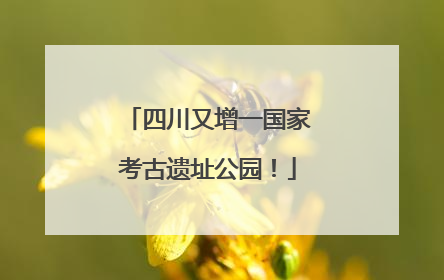 四川又增一国家考古遗址公园！