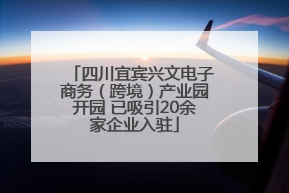 四川宜宾兴文电子商务（跨境）产业园开园 已吸引20余家企业入驻