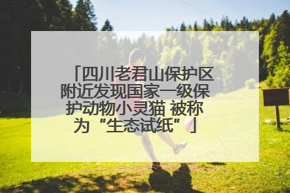 四川老君山保护区附近发现国家一级保护动物小灵猫 被称为“生态试纸”