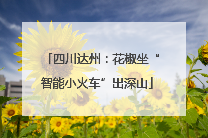 四川达州：花椒坐“智能小火车”出深山