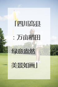 四川高县：万亩稻田绿意盎然 美景如画