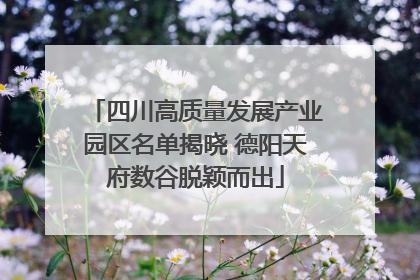 四川高质量发展产业园区名单揭晓 德阳天府数谷脱颖而出